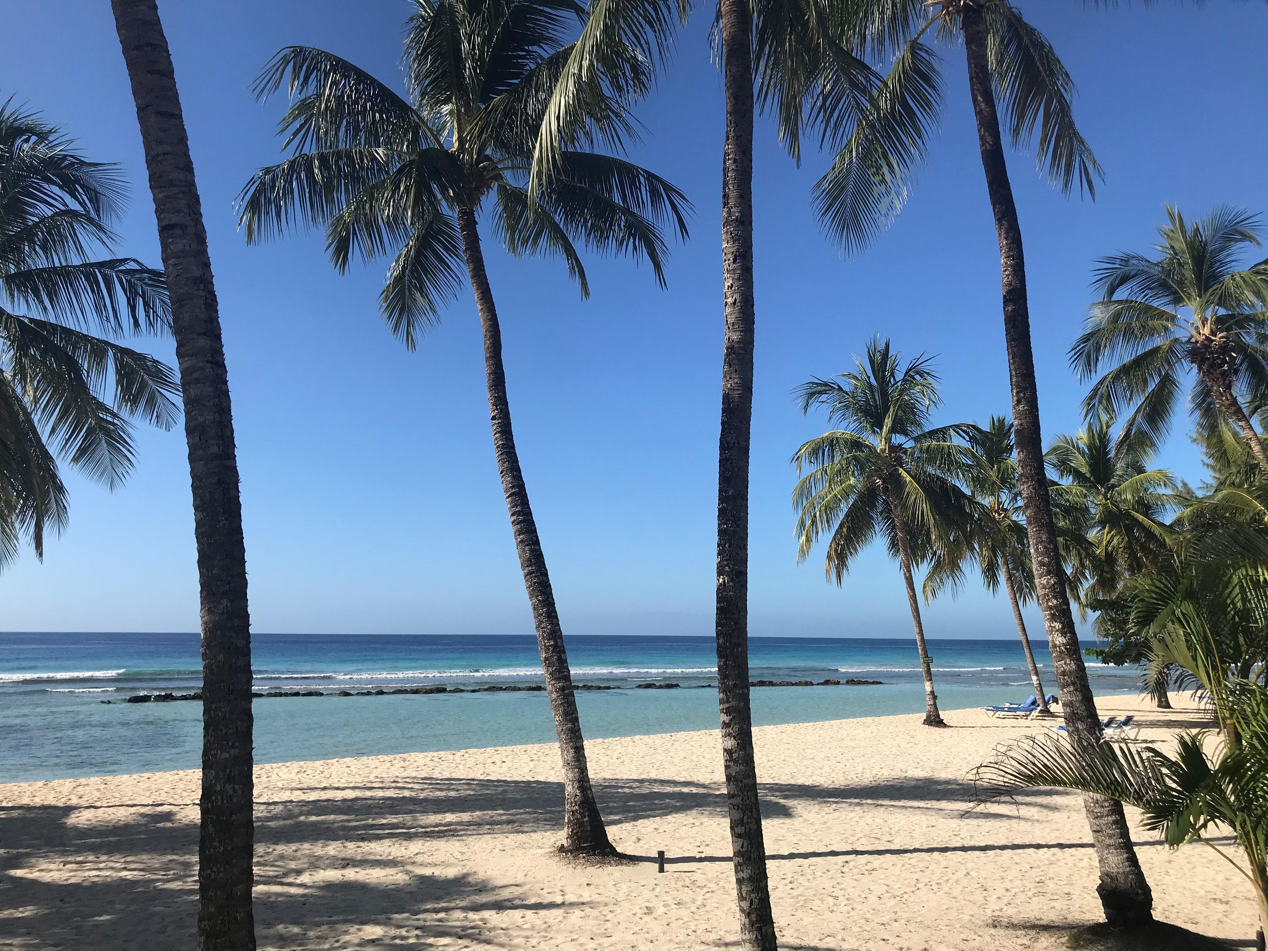 Coconut Court Beach Hotel Christ Church Bagian luar foto