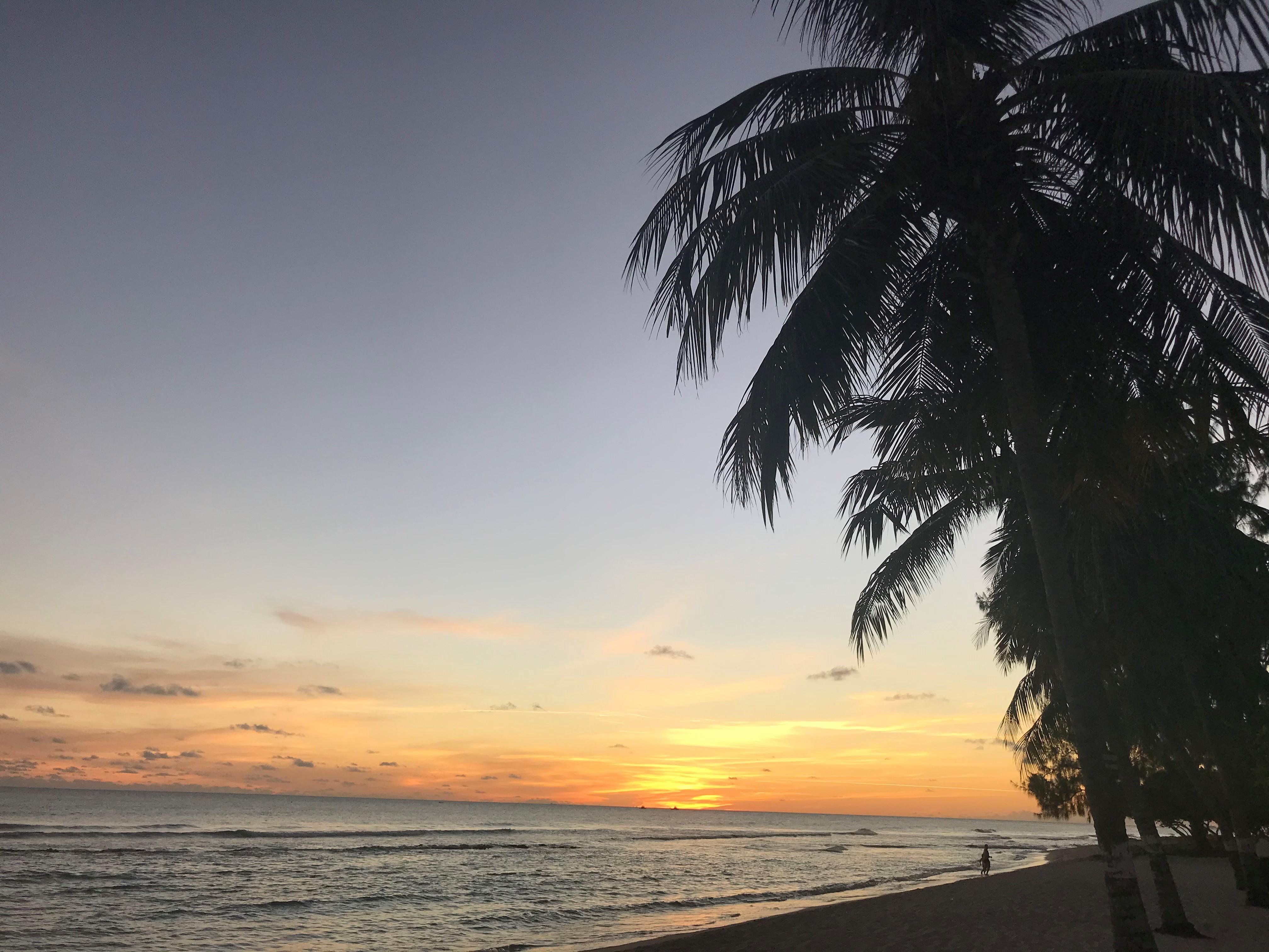 Coconut Court Beach Hotel Christ Church Bagian luar foto