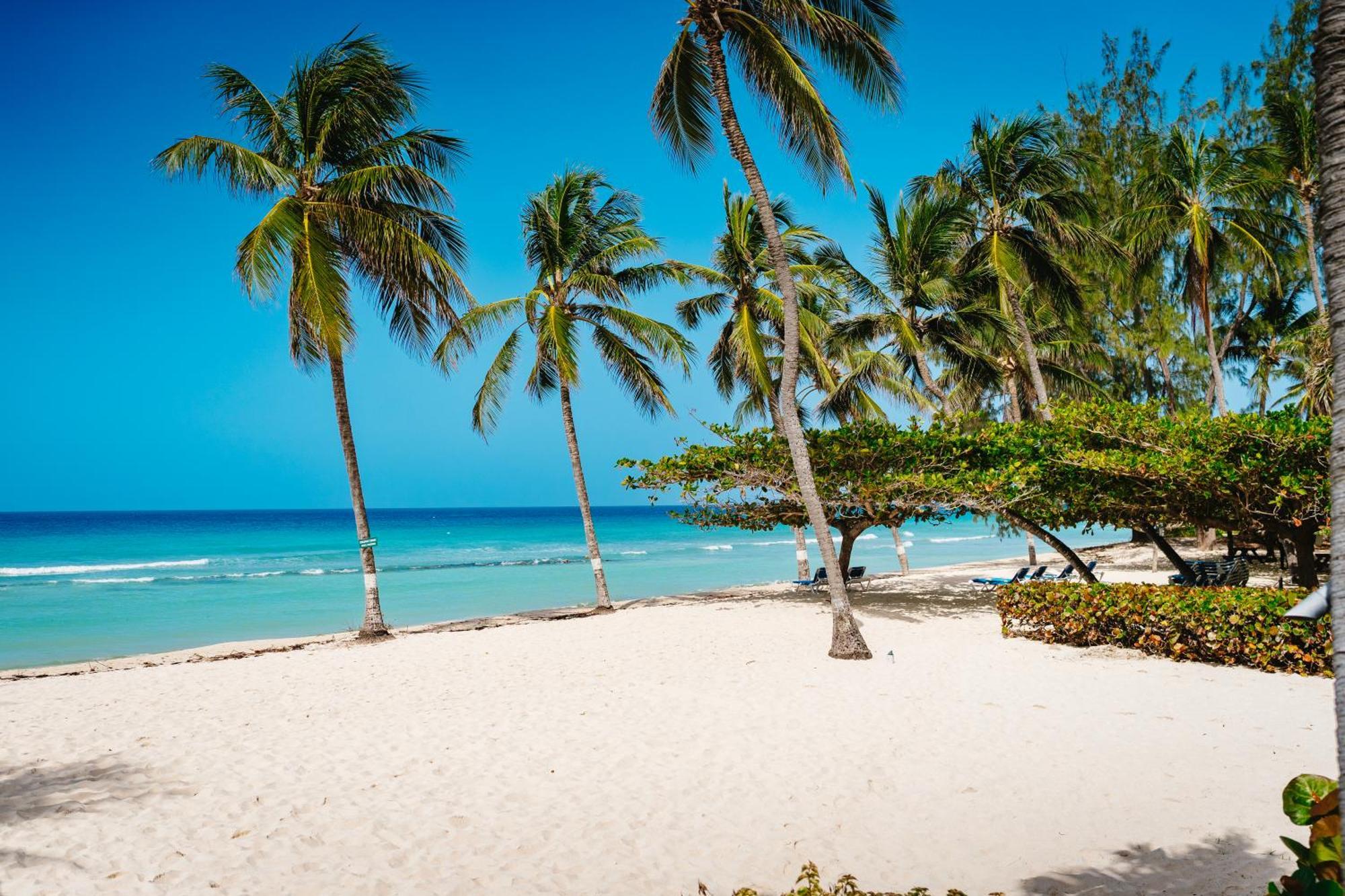 Coconut Court Beach Hotel Christ Church Bagian luar foto